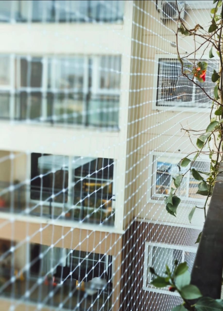 WhatsApp Image 2025-03-11 at 02.16.05_49a0b508