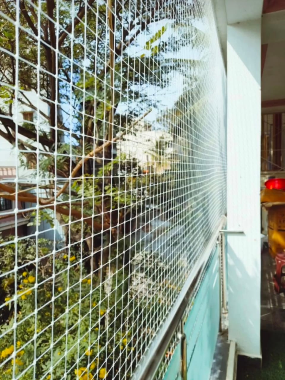 WhatsApp Image 2025-03-11 at 02.16.16_5d4af5cd